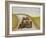 Motorcar, 1985-Gillian Lawson-Framed Giclee Print