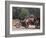 Motorcycle Bus, Cambodia-Mark Hannaford-Framed Photographic Print