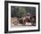 Motorcycle Bus, Cambodia-Mark Hannaford-Framed Photographic Print