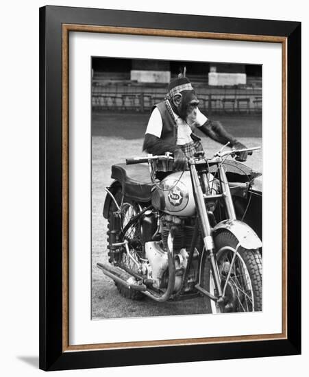 Motorcycle Chimp-null-Framed Photographic Print