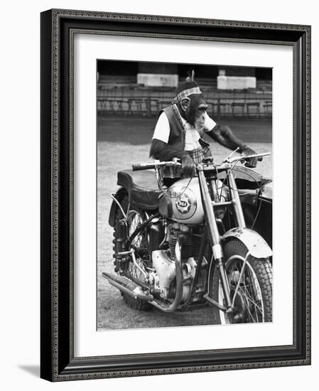 Motorcycle Chimp-null-Framed Photographic Print