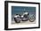 Motorcycle, Cruiser, Victory, White Metallic, Sea in the Background, Diagonal-Fact-Framed Photographic Print