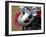 Motorcycle Helmet with Pink Mohawk-null-Framed Photographic Print