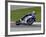 Motorcycle in Motion, Ama Superbike Race, Mid Ohio Raceway, Ohio, USA-Adam Jones-Framed Photographic Print