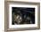 Motorcycle IV-Brian Moore-Framed Photographic Print