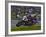 Motorcycle Racer, Mid Ohio Raceway, Lexington, Ohio, USA-Adam Jones-Framed Photographic Print