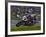 Motorcycle Racer, Mid Ohio Raceway, Lexington, Ohio, USA-Adam Jones-Framed Photographic Print