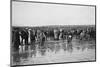 Motorcycle sand races, pre 1915-Bill Brunell-Mounted Photographic Print