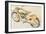 Motorcycle-null-Framed Art Print