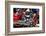 Motorcycles - NYC - United States-Philippe Hugonnard-Framed Photographic Print