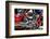 Motorcycles - NYC - United States-Philippe Hugonnard-Framed Photographic Print