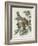 Mottled Owl, 1830-John James Audubon-Framed Giclee Print