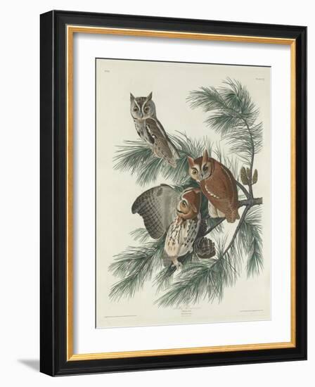 Mottled Owl, 1830-John James Audubon-Framed Giclee Print