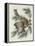 Mottled Owl, 1830-John James Audubon-Framed Premier Image Canvas