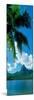 Mouaroa Peak Over, Opunohu Bay, Moorea, Tahiti, Society Islands, French Polynesia-null-Mounted Photographic Print