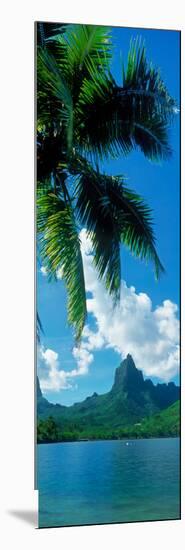 Mouaroa Peak Over, Opunohu Bay, Moorea, Tahiti, Society Islands, French Polynesia-null-Mounted Photographic Print