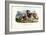 Mouflon, 1863-79-Raimundo Petraroja-Framed Giclee Print