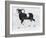 Mouflon (Ovis Aries Musimon), Bovidae-null-Framed Giclee Print