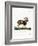 Mouflon-null-Framed Giclee Print