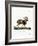 Mouflon-null-Framed Giclee Print