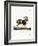 Mouflon-null-Framed Giclee Print