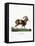 Mouflon-null-Framed Premier Image Canvas