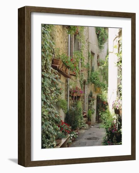 Mougins, Alpes Maritime, Cote d'Azur, Provence, France-J P De Manne-Framed Photographic Print