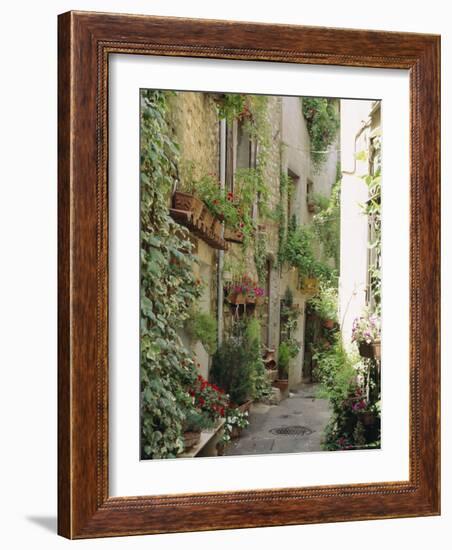 Mougins, Alpes Maritime, Cote d'Azur, Provence, France-J P De Manne-Framed Photographic Print