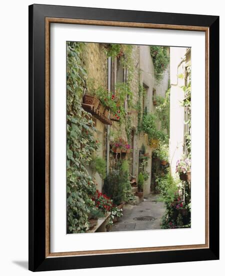 Mougins, Alpes Maritime, Cote d'Azur, Provence, France-J P De Manne-Framed Photographic Print