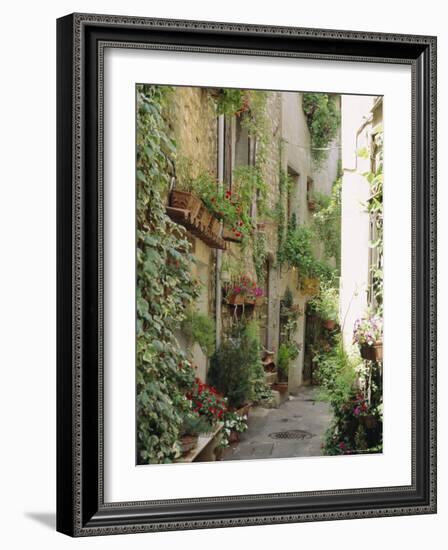 Mougins, Alpes Maritime, Cote d'Azur, Provence, France-J P De Manne-Framed Photographic Print