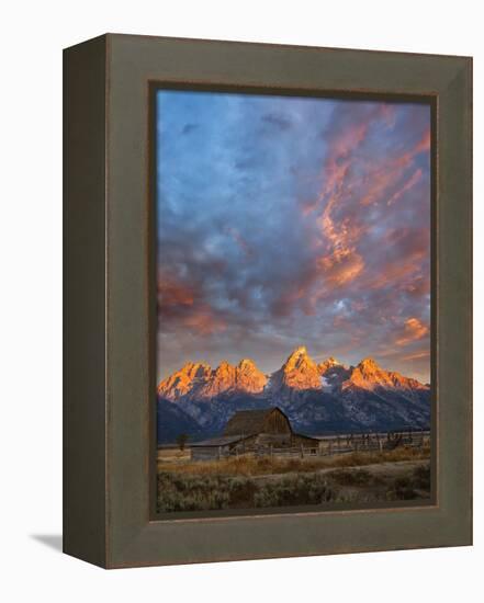 Moulton Barn at Sunrise, Grand Teton National Park-Adam Jones-Framed Premier Image Canvas