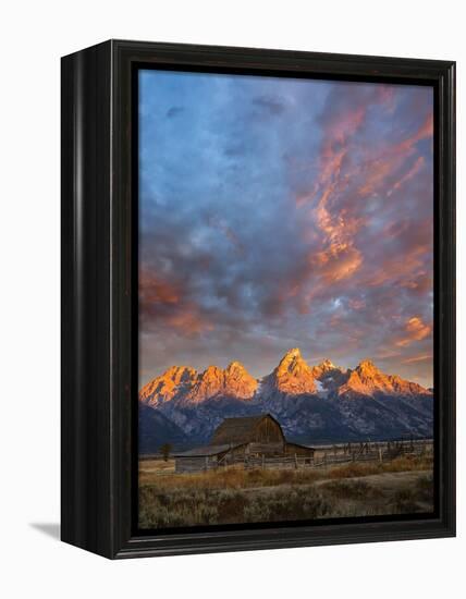 Moulton Barn at Sunrise, Grand Teton National Park-Adam Jones-Framed Premier Image Canvas