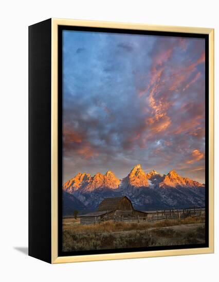 Moulton Barn at Sunrise, Grand Teton National Park-Adam Jones-Framed Premier Image Canvas