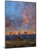 Moulton Barn at Sunrise, Grand Teton National Park-Adam Jones-Mounted Photographic Print