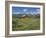 Moulton Barn on Mormon Row with the Grand Tetons Range, Grand Teton National Park, Wyoming, USA-Neale Clarke-Framed Photographic Print