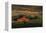 Moulton Barn Sunrise-Galloimages Online-Framed Premier Image Canvas