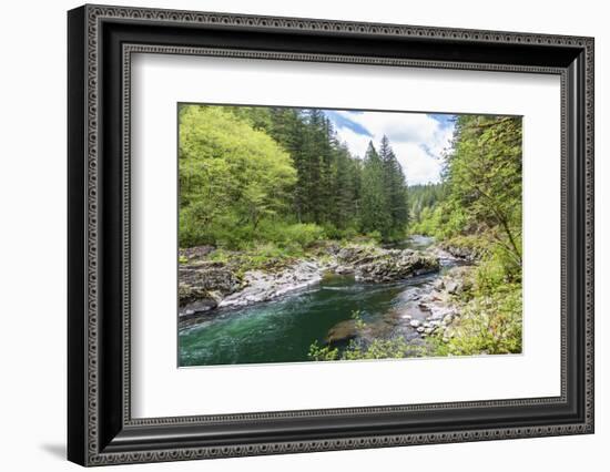 Moulton Falls Regional Park, Yacolt, Washington. Rocky channel of the East Fork Lewis River.-Emily Wilson-Framed Photographic Print