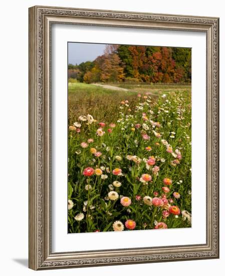 Moulton Farm in Meredith, New Hampshire, USA-Jerry & Marcy Monkman-Framed Photographic Print