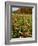 Moulton Farm in Meredith, New Hampshire, USA-Jerry & Marcy Monkman-Framed Photographic Print