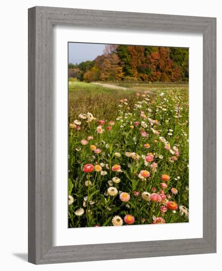 Moulton Farm in Meredith, New Hampshire, USA-Jerry & Marcy Monkman-Framed Photographic Print