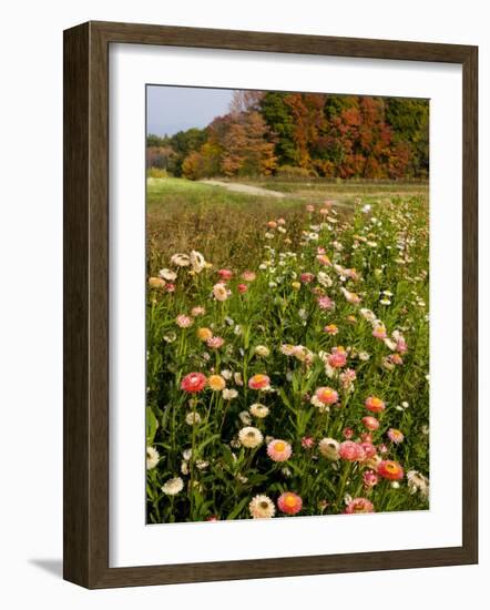 Moulton Farm in Meredith, New Hampshire, USA-Jerry & Marcy Monkman-Framed Photographic Print