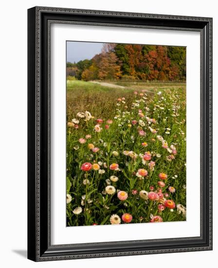 Moulton Farm in Meredith, New Hampshire, USA-Jerry & Marcy Monkman-Framed Photographic Print