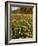 Moulton Farm in Meredith, New Hampshire, USA-Jerry & Marcy Monkman-Framed Photographic Print