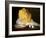 Mound of Butter-Antoine Vollon-Framed Premium Giclee Print