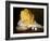 Mound of Butter-Antoine Vollon-Framed Premium Giclee Print