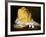 Mound of Butter-Antoine Vollon-Framed Giclee Print