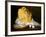 Mound of Butter-Antoine Vollon-Framed Giclee Print