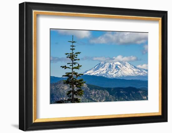 Mount Adams seen from Mount St. Helens, part of the Cascade Range, Pacific Northwest region, Washin-Martin Child-Framed Photographic Print