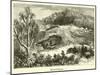 Mount Adolphus-Harden Sidney Melville-Mounted Giclee Print