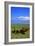 Mount Ararat-Charles Bowman-Framed Photographic Print